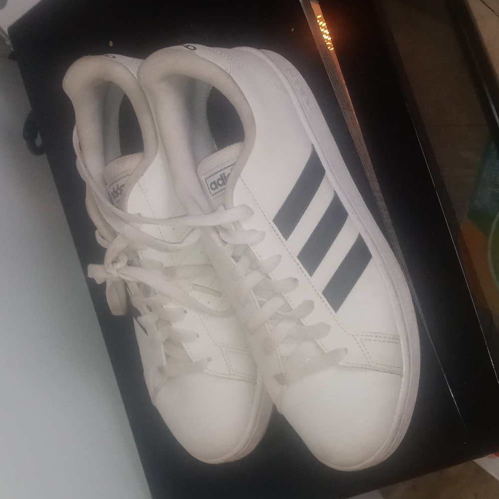 Adidas Shell Toe